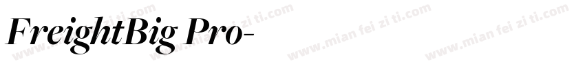 FreightBig Pro字体转换
